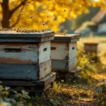 ein rentner berichtet, wie seine bienenstöcke zu konflikten im ganzen dorf führten und die gemeinschaft spalteten.