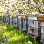 ein rentner muss steuern für die verpachtung von imkereien zahlen, obwohl dies weder als hobby noch als nebenerwerb gilt.
