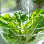 experten zeigen, wie man bakterien und pestizide vom salat entfernt – ganz ohne klares wasser oder spülmittel.